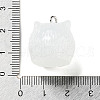 Translucent Resin Pendants RESI-R445-01B-3