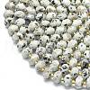 Natural Sesame Jasper Beads Strands G-P573-A34-01-3