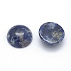 Natural Sodalite Cabochons X-G-P393-R45-10MM-2