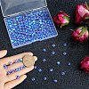 SOFPLATE Glass Beads G-SP0001-03A-01-3