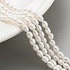 Natural Cultured Freshwater Pearl Beads Strands PEAR-P062-03B-1