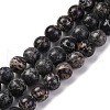 Dyed Natural Regalite/Imperial Jasper/Sea Sediment Jasper Beads Strands G-B124-C03-06-1