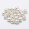 Natural Cultured Freshwater Pearl Beads X-PEAR-P056-023-1