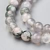 Natural Tree Agate Beads Strands G-I199-03-6mm-5