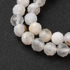 Natural Rainbow Moonstone Beads Strands G-G161-A01-03A-4