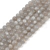 Natural Grey Moonstone Beads Strands G-G206-A01-6mm-2