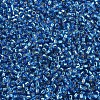 MIYUKI Delica Beads Small X-SEED-J020-DBS0149-3