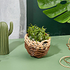 Handmade Plastic Imitation Rattan Woven Material Kits DIY-WH0326-34-4