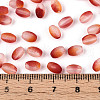 Frosted Glass Seed Beads SEED-N008-05E-4