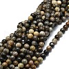 Natural Black Sunstone Beads Strands G-E576-01C-1