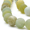 Natural Jade Beads Strands G-T106-079-2
