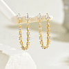 Brass Pave Clear Cubic Zirconia Tassel Stud Earrings LT4061-2
