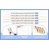 Copper Wire CWIR-TAC0003-01E-16