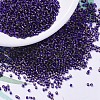 MIYUKI Delica Beads SEED-X0054-DB0609-1