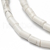 Natural Howlite Beads Strands G-B004-A11-3