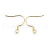 304 Stainless Steel Earring Hooks STAS-P210-19G-2