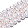 Natural Cultured Freshwater Pearl Beads Strands PEAR-N013-07H-3