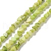 Natural Calcite Beads Strands G-G852-01F-1