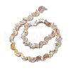 Drawbench Style Natural Freshwater Shell Beads Strands SHEL-F003-05-3