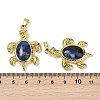 Natural & Synthetic Gemstone & Brass Pendants KK-F887-01G-4