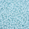 6/0 Glass Seed Beads SEED-T005-14-B19-3