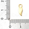 925 Sterling Sliver Charms STER-Z012-04G-11-3