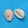 Natural Cowrie Shell Beads X-BSHE-S056-2