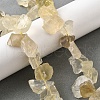 Natural Lemon Quartz Beads Strands G-S386-B02-1