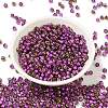 Glass Seed Beads X1-SEED-H002-B-D207-2