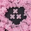 Frosted Transparent Acrylic Beads OACR-P029-09B-01-1