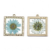 Epoxy Resin Pendants X-RESI-T045-029D-3