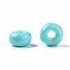 6/0 Glass Seed Beads SEED-S058-A-F437-5