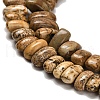 Natural Picture Jasper Beads Strands G-Q167-B14-01-4
