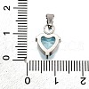 304 Stainless Steel Micro Pave Cubic Zirconia Pendants STAS-B086-13P-03-3