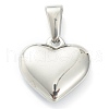 304 Stainless Steel Pendants STAS-P278-01H-P-2