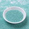 MIYUKI Round Rocailles Beads SEED-G007-RR0536-2