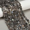 Natural Labradorite Beads Strands G-Q060-E20-01-1