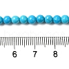 Dyed Natural Magnesite Beads Strands G-Q181-B01-01-5