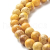 Natural Imperial Jasper Beads Strands G-I122-8mm-23-3