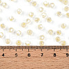Glass Seed Beads SEED-N007-01B-4