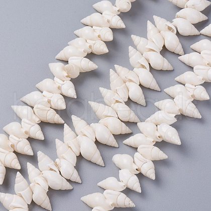 Natural Spiral Shell Beads Strands BSHE-I016-07-1