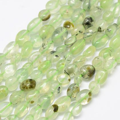 Natural Prehnite Beads Strands G-F521-29-1