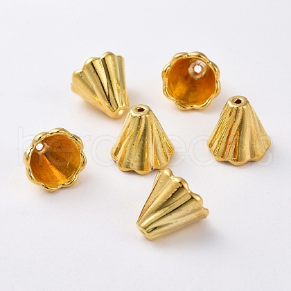 Tibetan Style Bead Caps EA10181Y-G-1