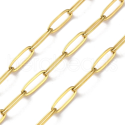 304 Stainless Steel Paperclip Chains CHS-R020-06G-03-1