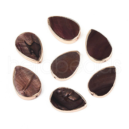 Dyed Natural Freshwater Shell Beads SHEL-T020-23-1