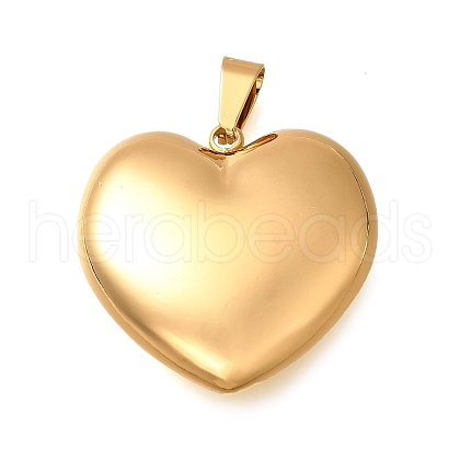 304 Stainless Steel Pendants STAS-H200-01G-15-1