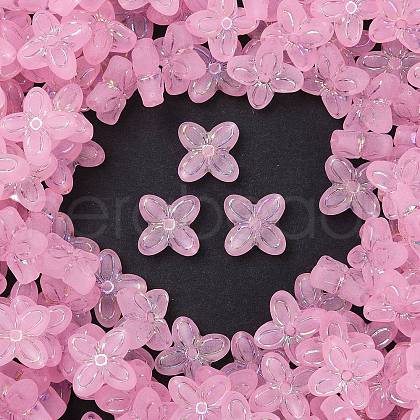 Frosted Transparent Acrylic Beads OACR-P029-09B-01-1