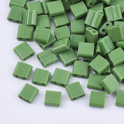 2-Hole Glass Seed Beads SEED-S031-L-047-1