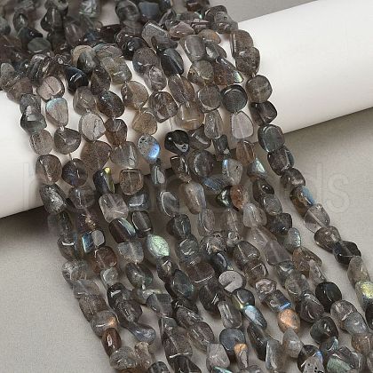Natural Labradorite Beads Strands G-Q060-E20-01-1