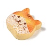 Opaque Resin Imitation Food Decoden Cabochons RESI-S395-02B-2